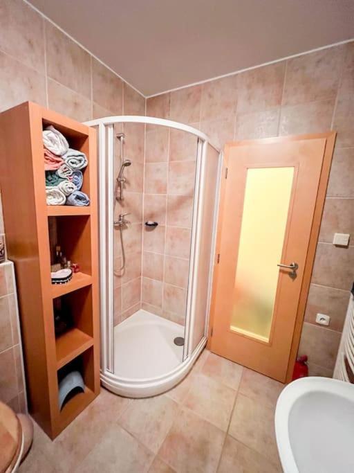 Prokop Apartment Zelezna Ruda Ngoại thất bức ảnh